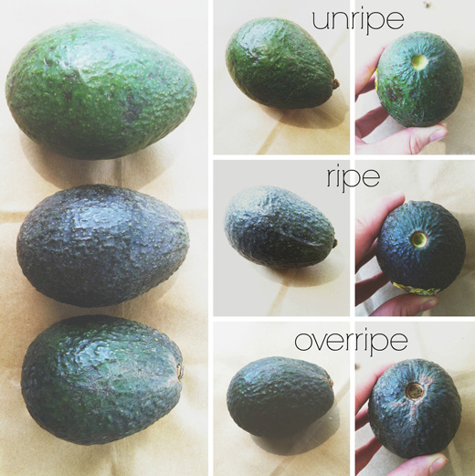 How-to-pick-a-ripe-avocado-5