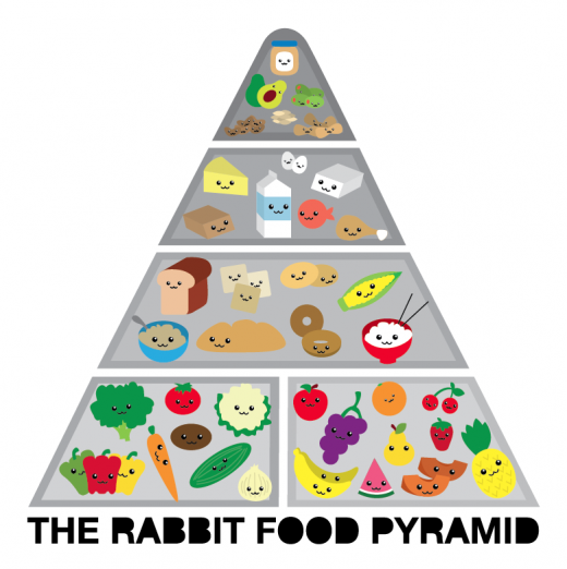 keto food triangle Teeth Bunny For Rabbit Rabbit My Food  Food Pyramid The