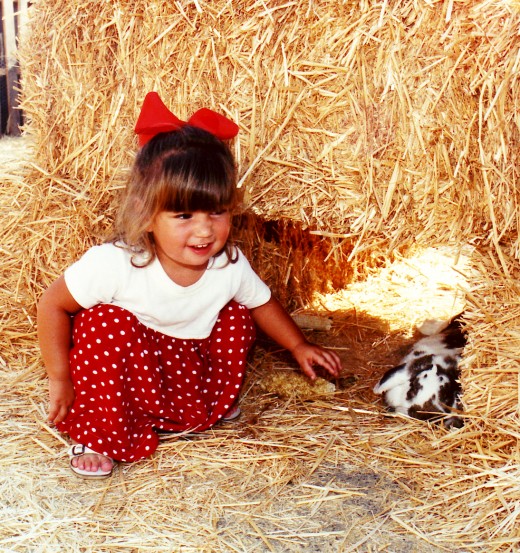 baby bunny