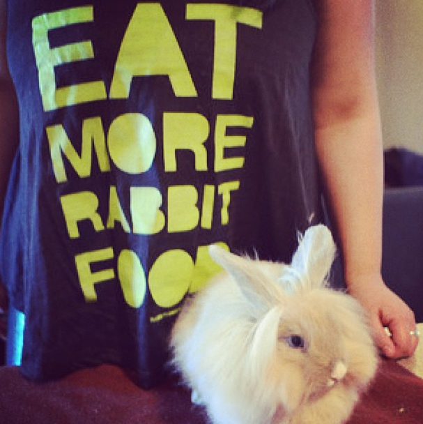 Eat More Rabbit Food Shirt 7