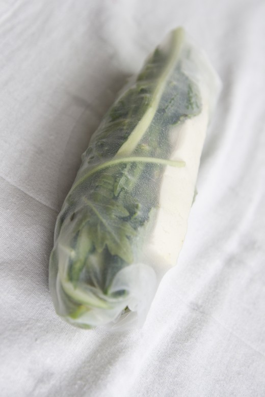 Tofu Asparagus Spring Rolls