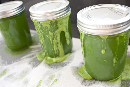 Juicing-for-Dummies-Homemade-Juice-Cleanse-16