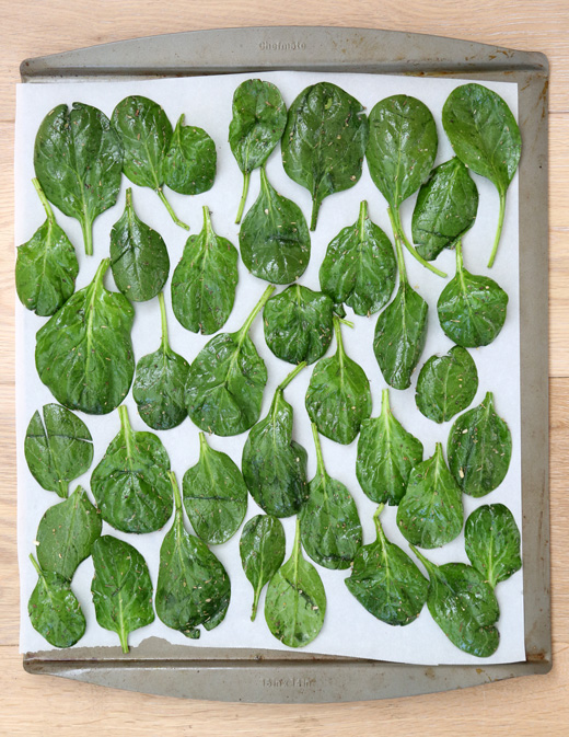 Spinach-Chips3