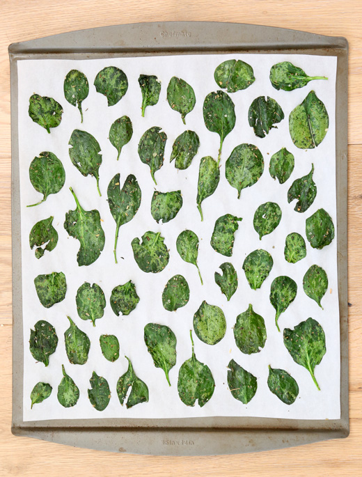 Spinach-Chips6