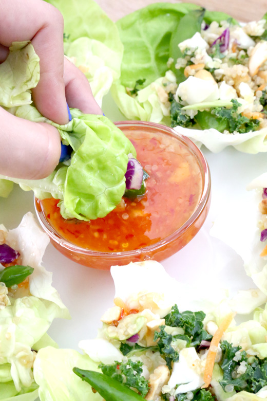 Dole-Chopped-Salad-Asian-Blend-Helathy-Lettuce-Wraps-8