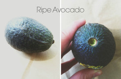 How To Pick A Ripe Avocado - Eat More Rabbit Food