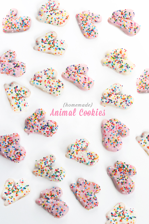 Homemade-Animal-Cookies-1